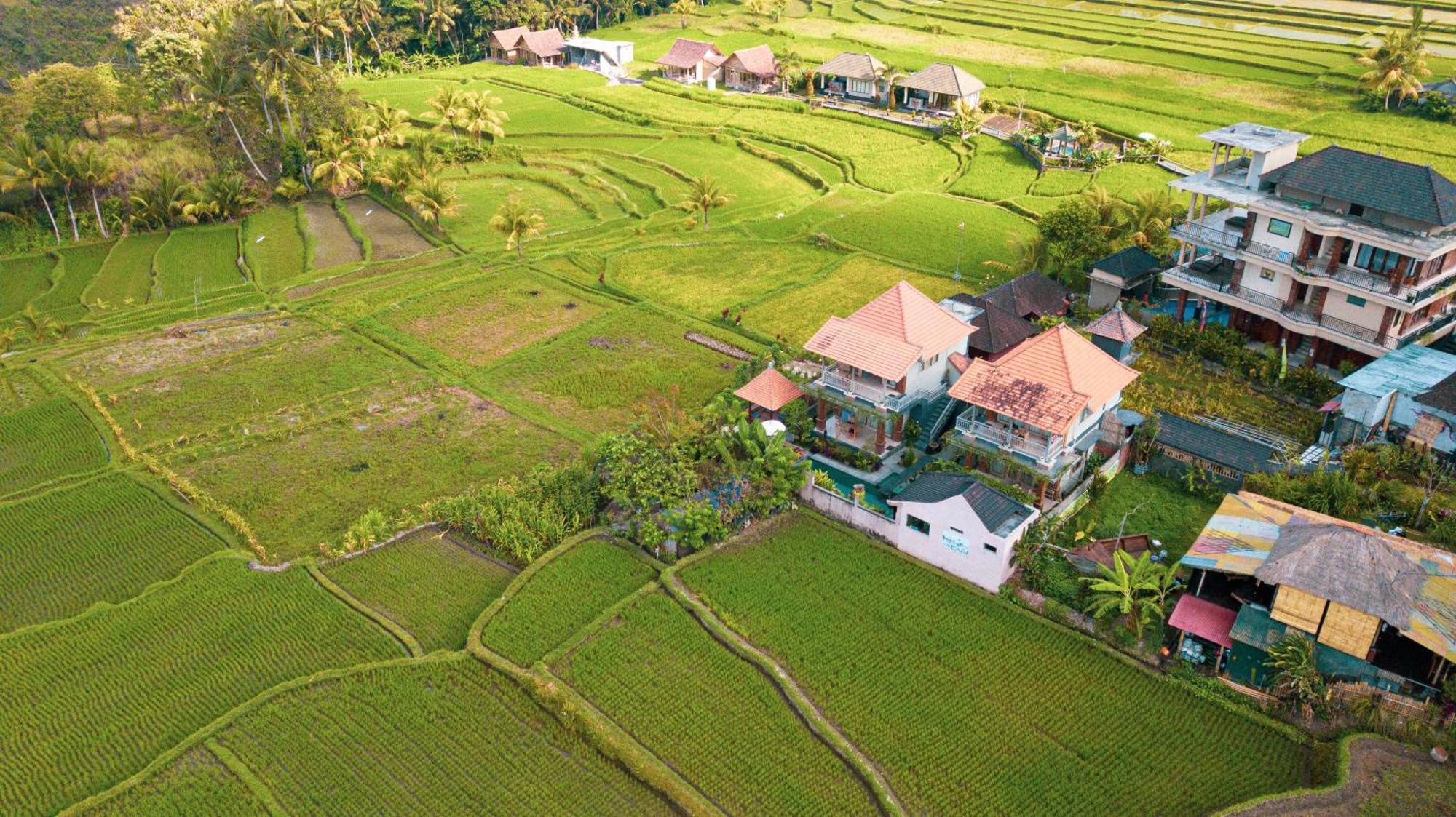 Raditya Villa Ubud Εξωτερικό φωτογραφία